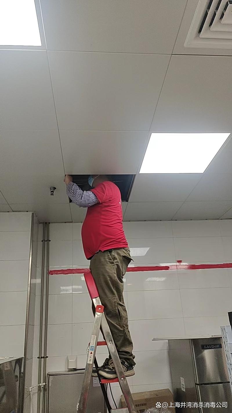 上海专业灭鼠除虫服务 为工厂商场酒店餐饮保驾护航